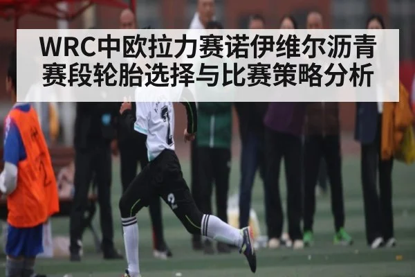 WRC中欧拉力赛诺伊维尔沥青赛段轮胎选择与比赛策略分析